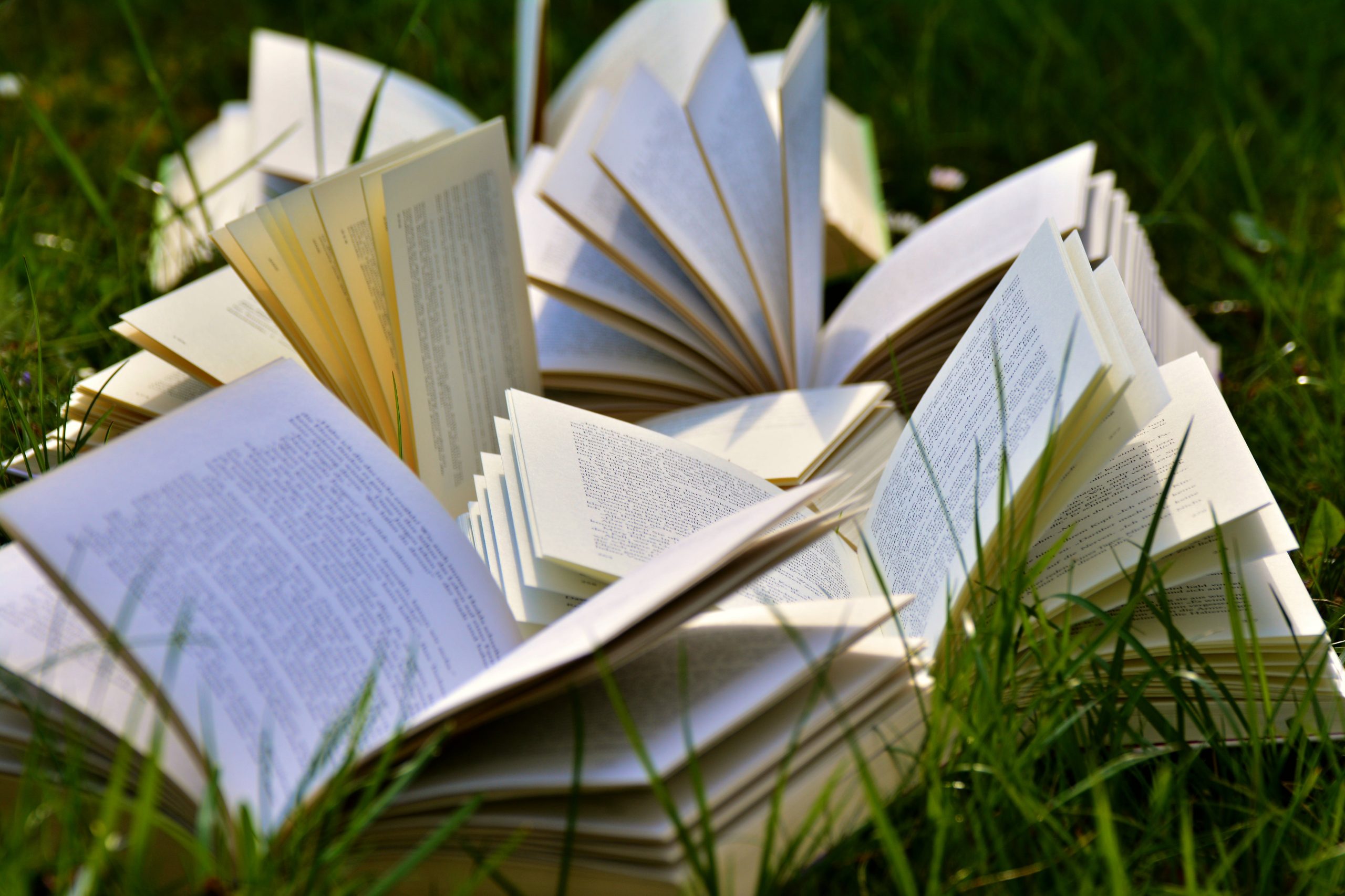 13 Novelas de detectives privados para este verano (1).