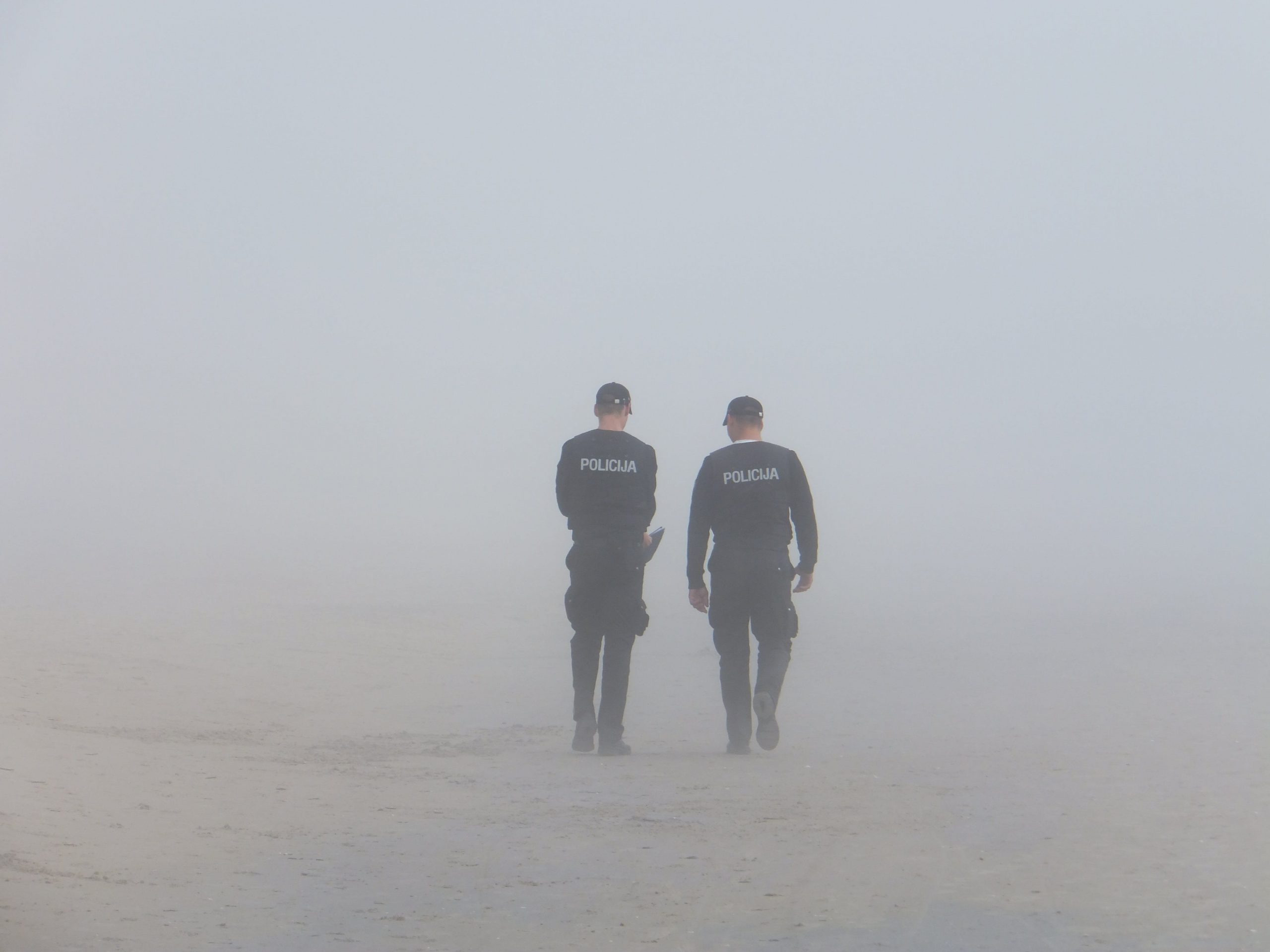 La Seguridad Privada integrante de la Seguridad Pública (I)