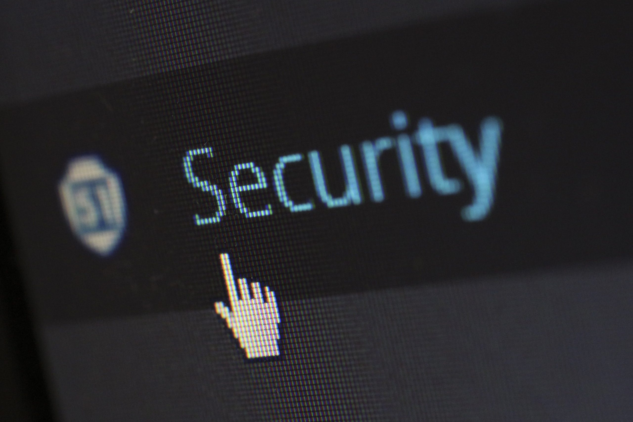 La Seguridad Privada integrante de la Seguridad Pública (II)